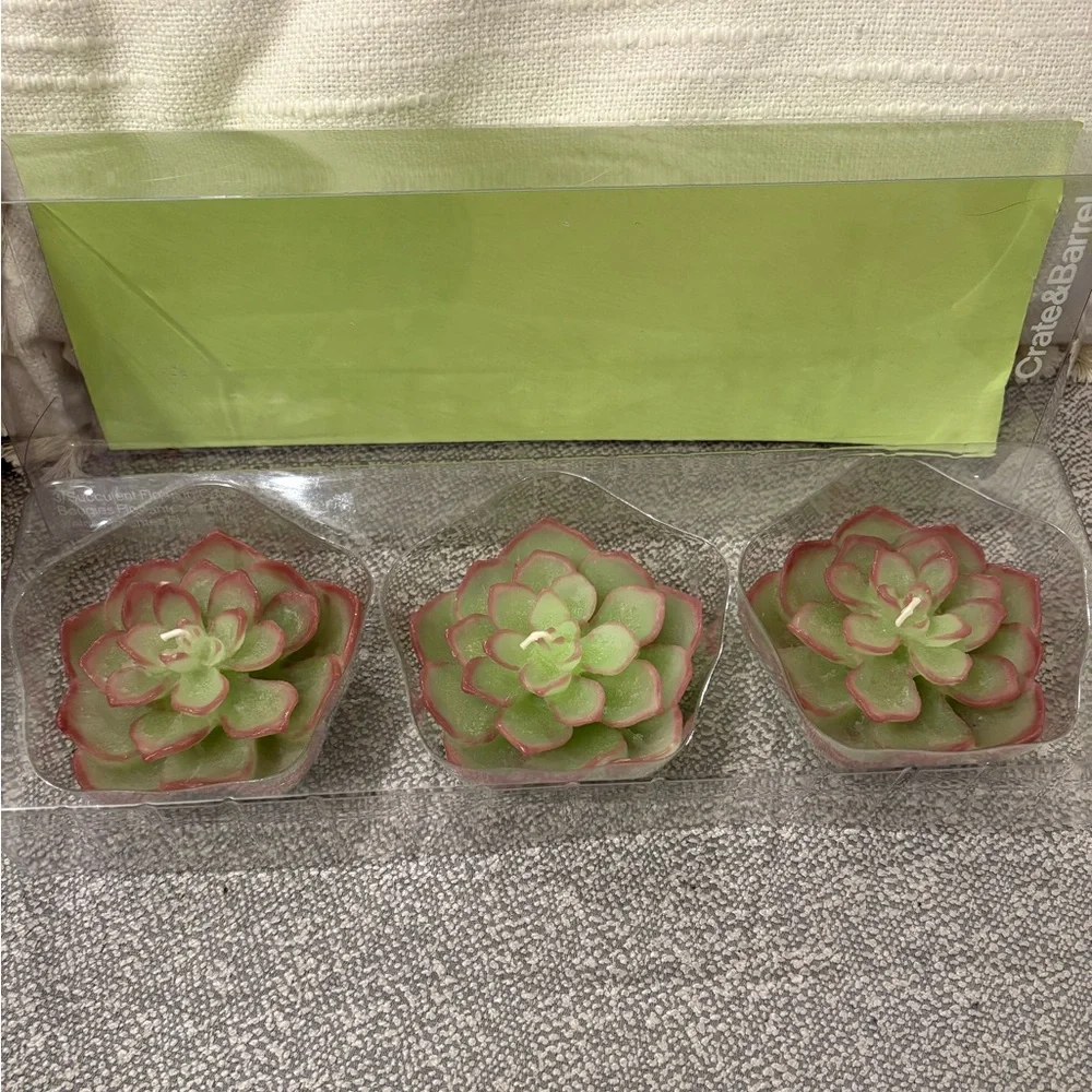 Crate&Barrel succulent floating